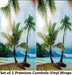 Island Palm Cornhole Boards Wraps (Set of 2)