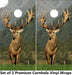 Deer On Grass Cornhole Boards Wraps (Set of 2)