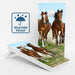 Boards Horses Weather Proof Cornhole Boards