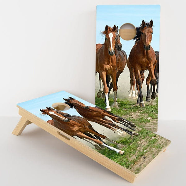 Boards Horses Professional Cornhole Boards