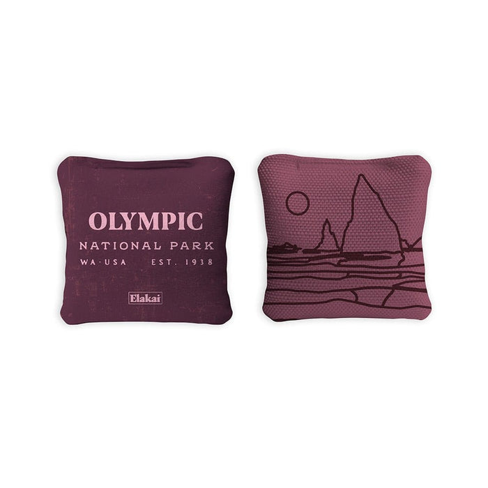 Cornhole Bags 4-in Travel Dual-Sided Cornhole Bags | National Parks Collection