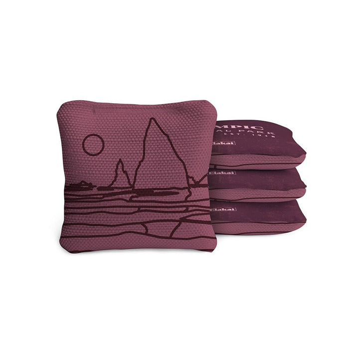 Cornhole Bags 4-in Travel Dual-Sided Cornhole Bags | National Parks Collection