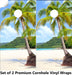 Palm Tree Ocean (2) Cornhole Boards Wraps (Set of 2)