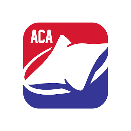 American Cornhole Association Bags