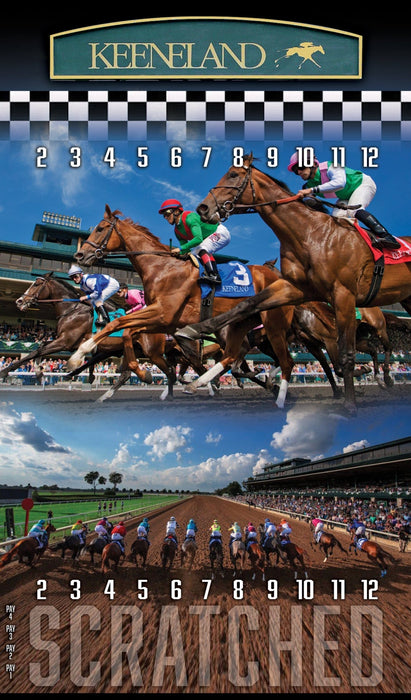 Horse Race Game XL Horse Race Party Game - New Heavy Duty Metal Horse Numbered 2-12