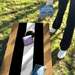 Recreational Cornhole Set World Series of Cornhole Recreational Cornhole Set - Black and White Stripes Boards with Black and White Bags