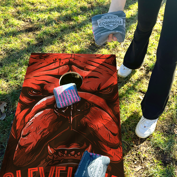World Series of Cornhole Recreational Cornhole Set - Cleveland Browns Boards with Brown and Orange Bags