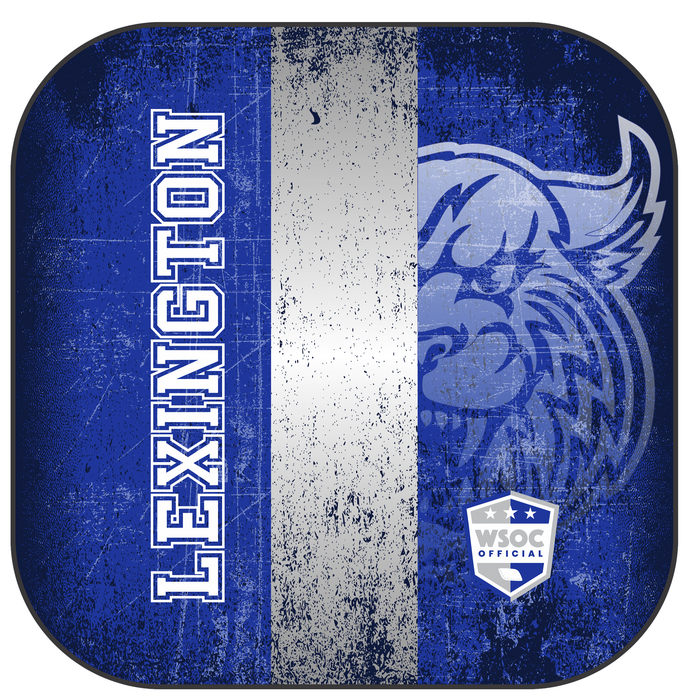 Kentucky Wildcats Lexington - 6 Inch WSOC Official Pro Cornhole Bags