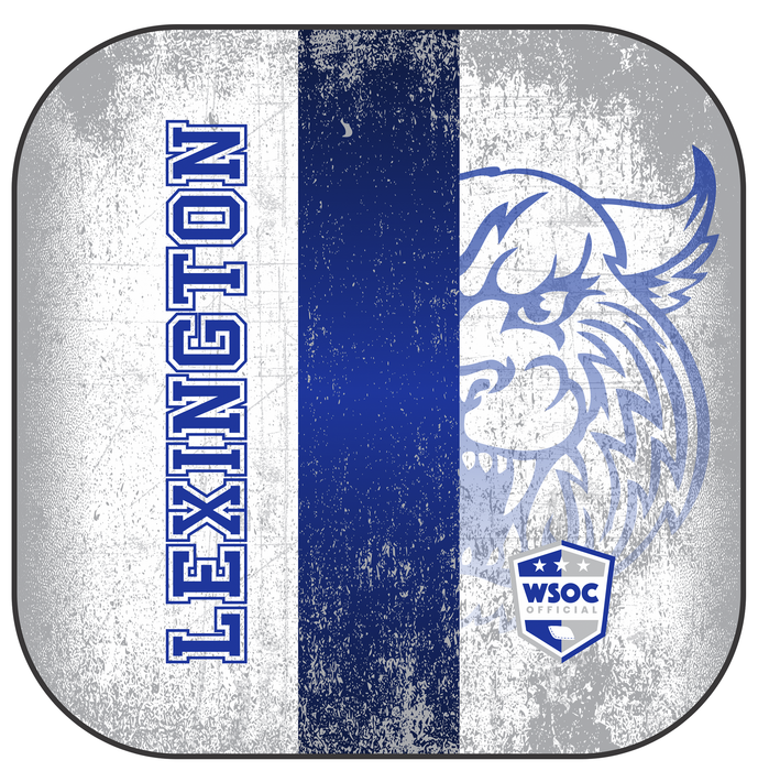 Kentucky Wildcats Lexington - 6 Inch WSOC Official Pro Cornhole Bags