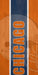cornhole boards Chicago Football Team Cornhole Boards, ACL Regulation, Illinois Tailgate Games
