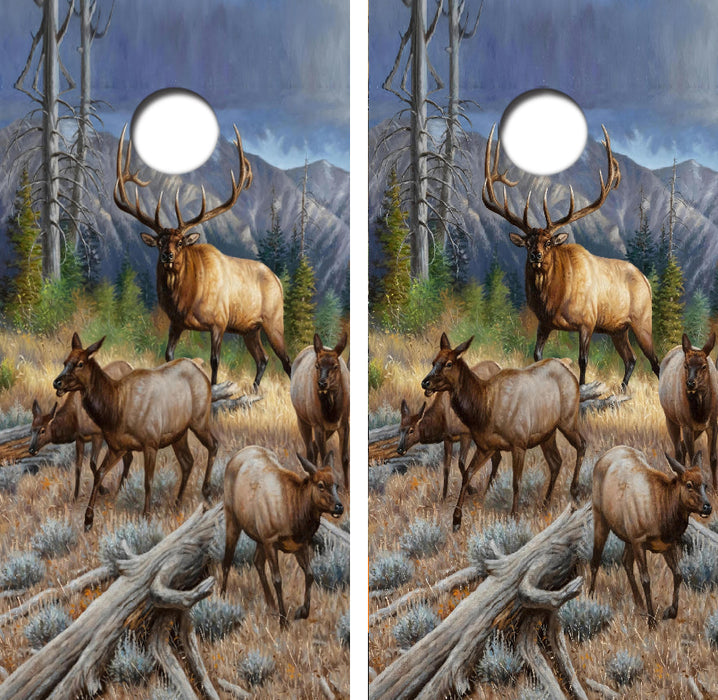 Mountain Ridge Bull Elk Cornhole Design