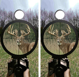 Hunting Monster Bucks Cornhole Design