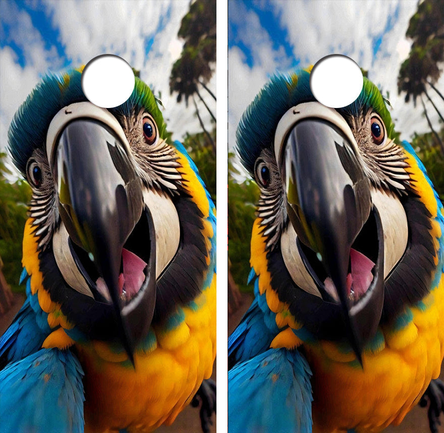Parrot Selfie Cornhole Design