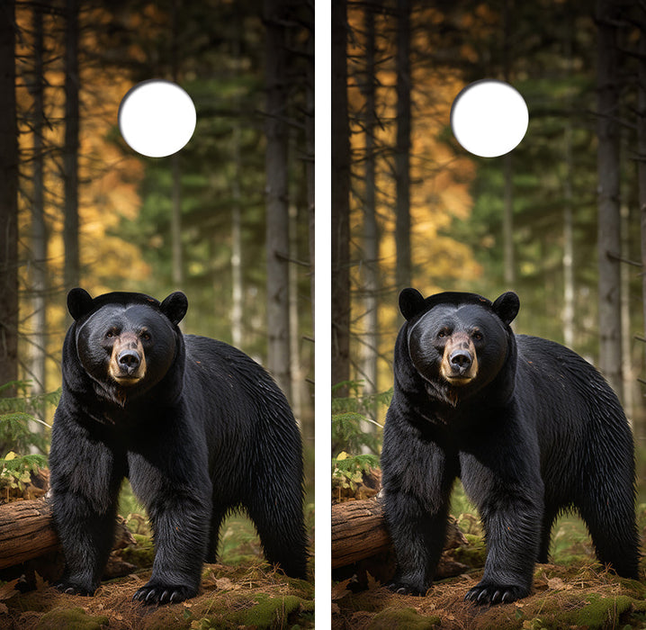 North American Black Bear Cornhole Design