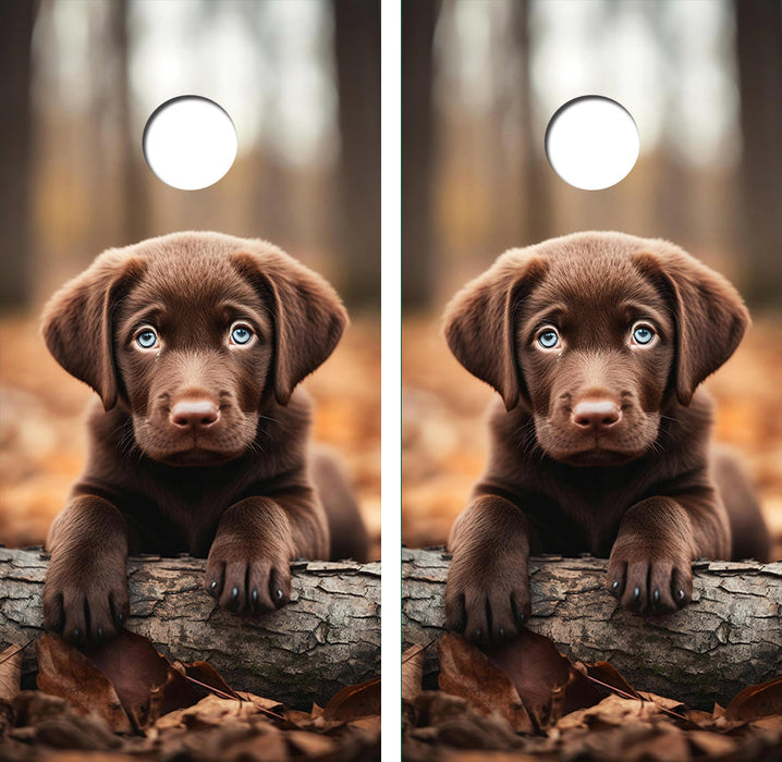 Cute Chocolate Labrador Retreive Puppy Cornhole Design