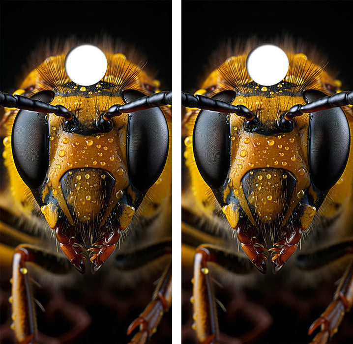 Angry Hornet Cornhole Design