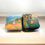 Cornhole Bag Up North Lake Michigan All Weather Slick and Stick CORNHOLE Bags