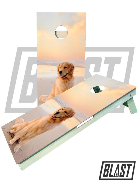 Custom Pet Cornhole Boards Wedding