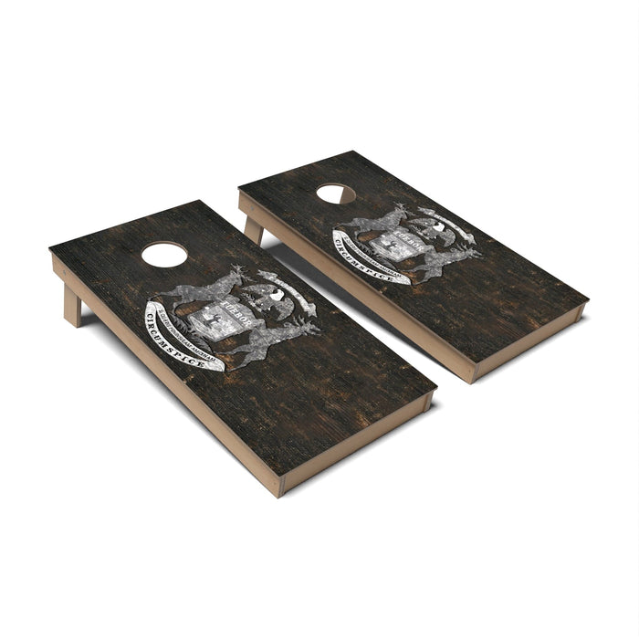 Cornhole Board Michigan Cornhole Boards - Backyard
