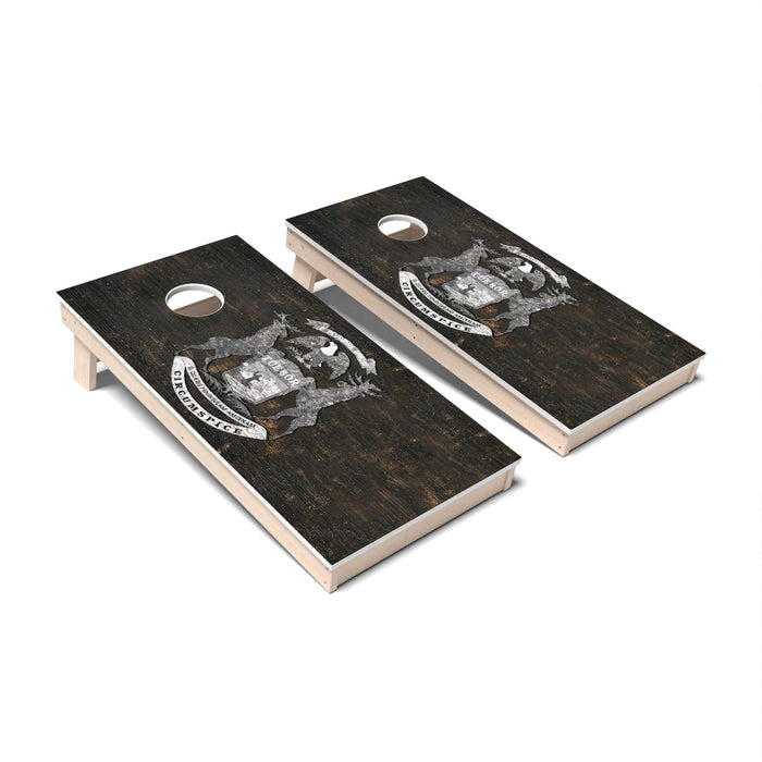Cornhole Board Michigan Cornhole Boards - All Weather
