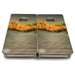 Mini Cornhole Boards- Sea Oats- 12"x24"