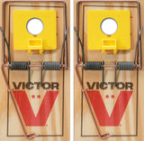 Mouse Trap Cornhole Design